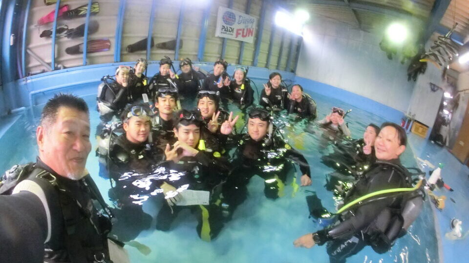 ダイブテリーズ