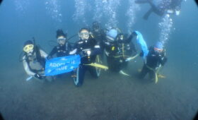 ダイブテリーズ