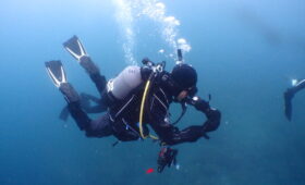 ダイブテリーズ