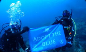 ダイブテリーズ