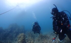 ダイブテリーズ