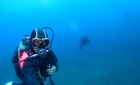 ダイブテリーズ