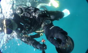 ダイブテリーズ