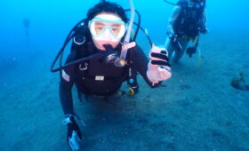 ダイブテリーズ