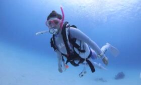 ダイブテリーズ