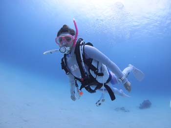 ダイブテリーズ