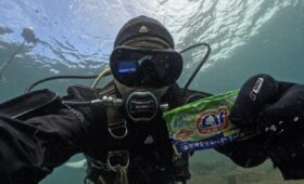 ダイブテリーズ