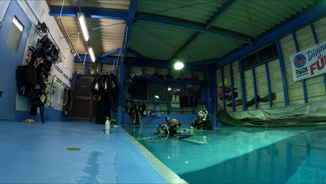 ダイブテリーズ