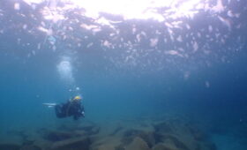 ダイブテリーズ