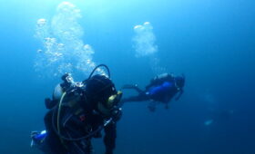 ダイブテリーズ