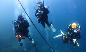 ダイブテリーズ