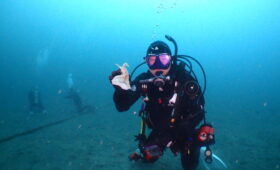 ダイブテリーズ