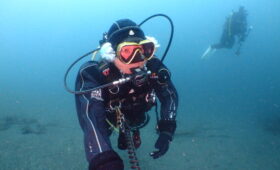 ダイブテリーズ