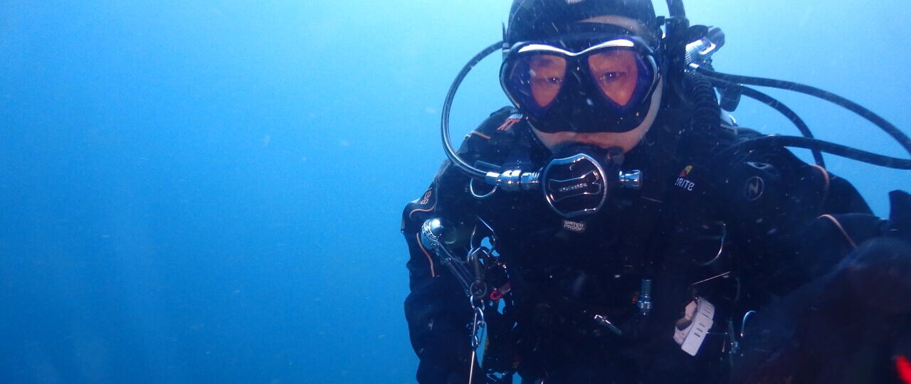 ダイブテリーズ