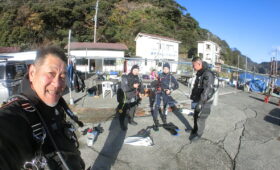 ダイブテリーズ