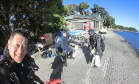 ダイブテリーズ