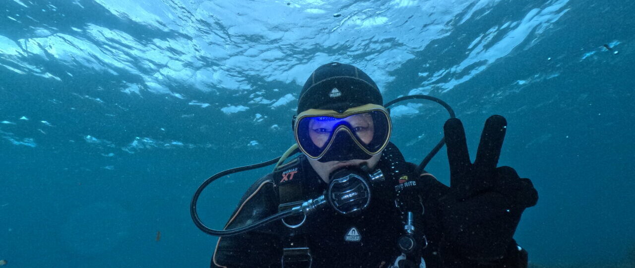 ダイブテリーズ