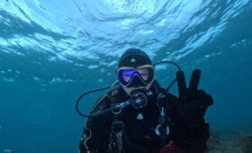 ダイブテリーズ