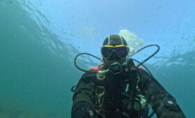 ダイブテリーズ