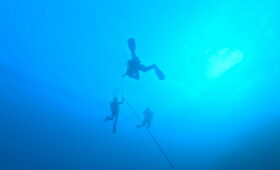 ダイブテリーズ