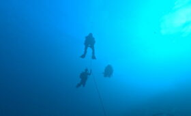 ダイブテリーズ