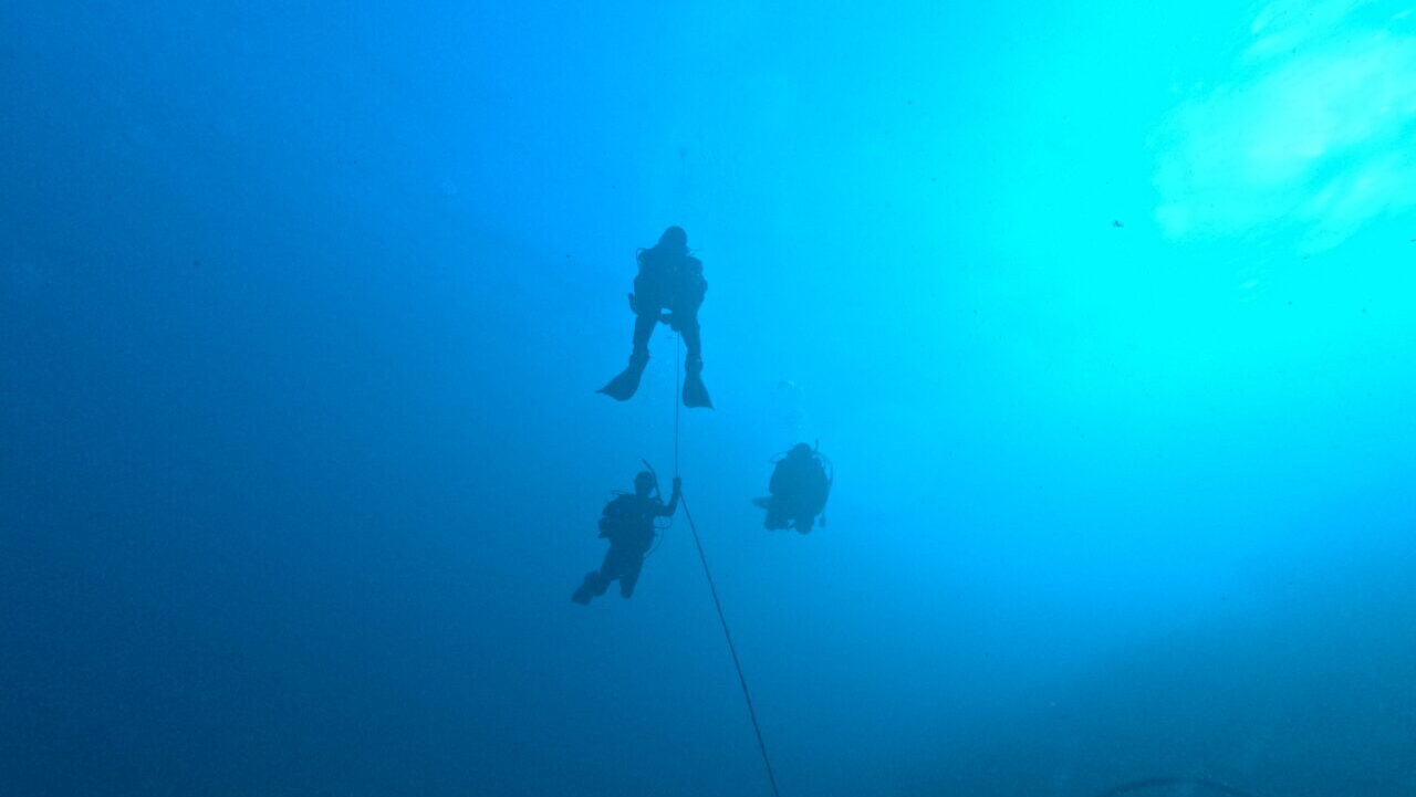 ダイブテリーズ