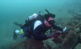 ダイブテリーズ