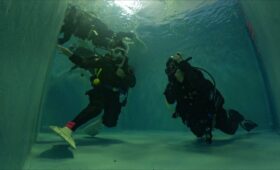 ダイブテリーズ