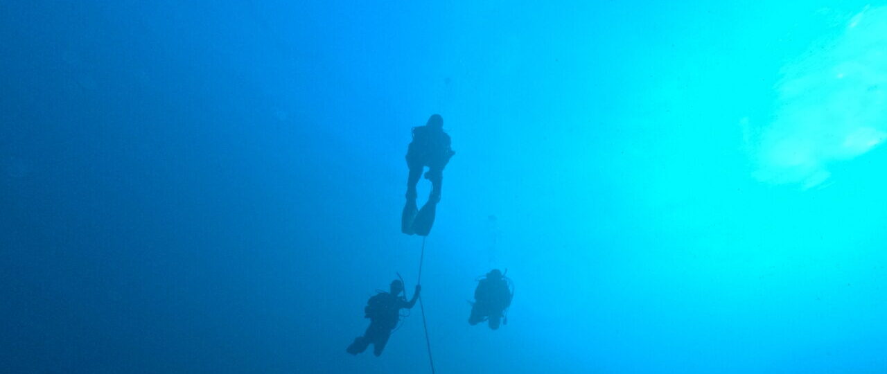 ダイブテリーズ