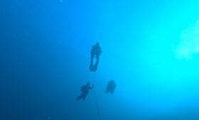 ダイブテリーズ