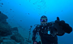 ダイブテリーズ