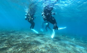 ダイブテリーズ