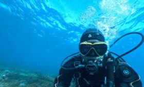 ダイブテリーズ