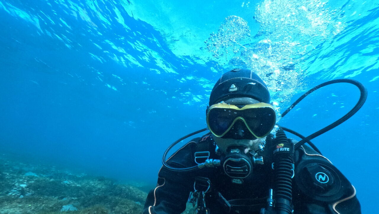 ダイブテリーズ