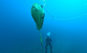 ダイブテリーズ