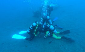 ダイブテリーズ