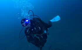 ダイブテリーズ