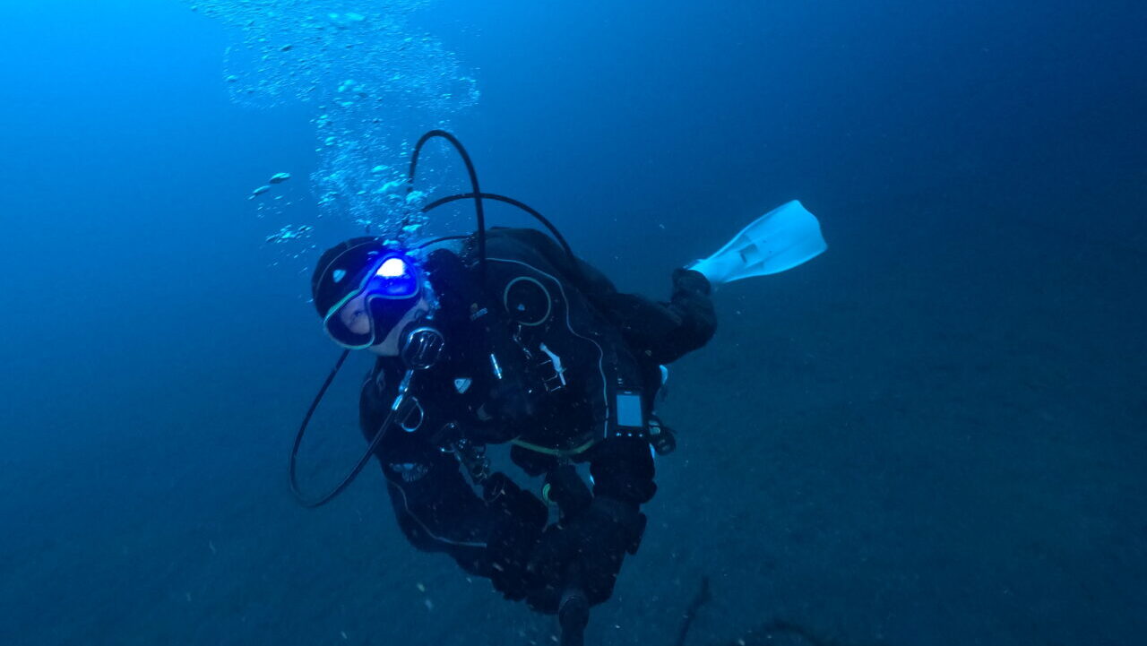 ダイブテリーズ