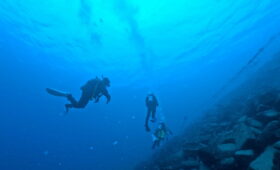 ダイブテリーズ