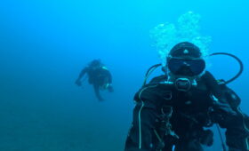 ダイブテリーズ