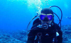 ダイブテリーズ