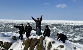 ダイブテリーズ