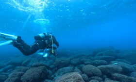 ダイブテリーズ