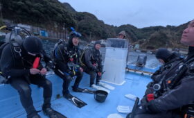 ダイブテリーズ