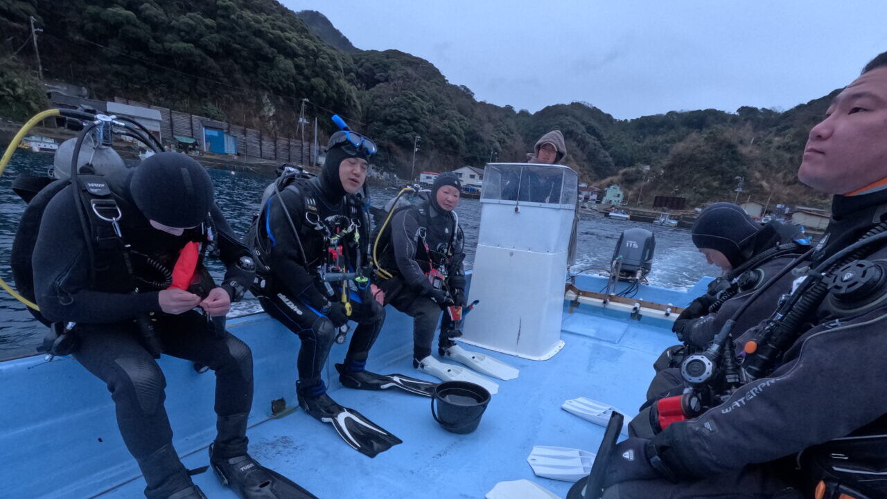 ダイブテリーズ