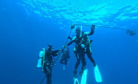 ダイブテリーズ