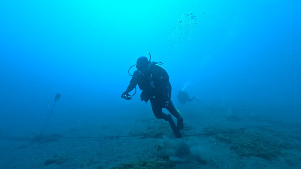 ダイブテリーズ