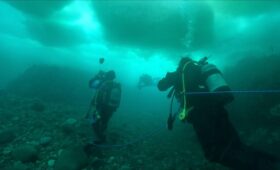 ダイブテリーズ