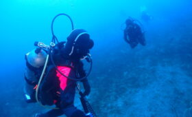 ダイブテリーズ