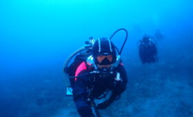 ダイブテリーズ